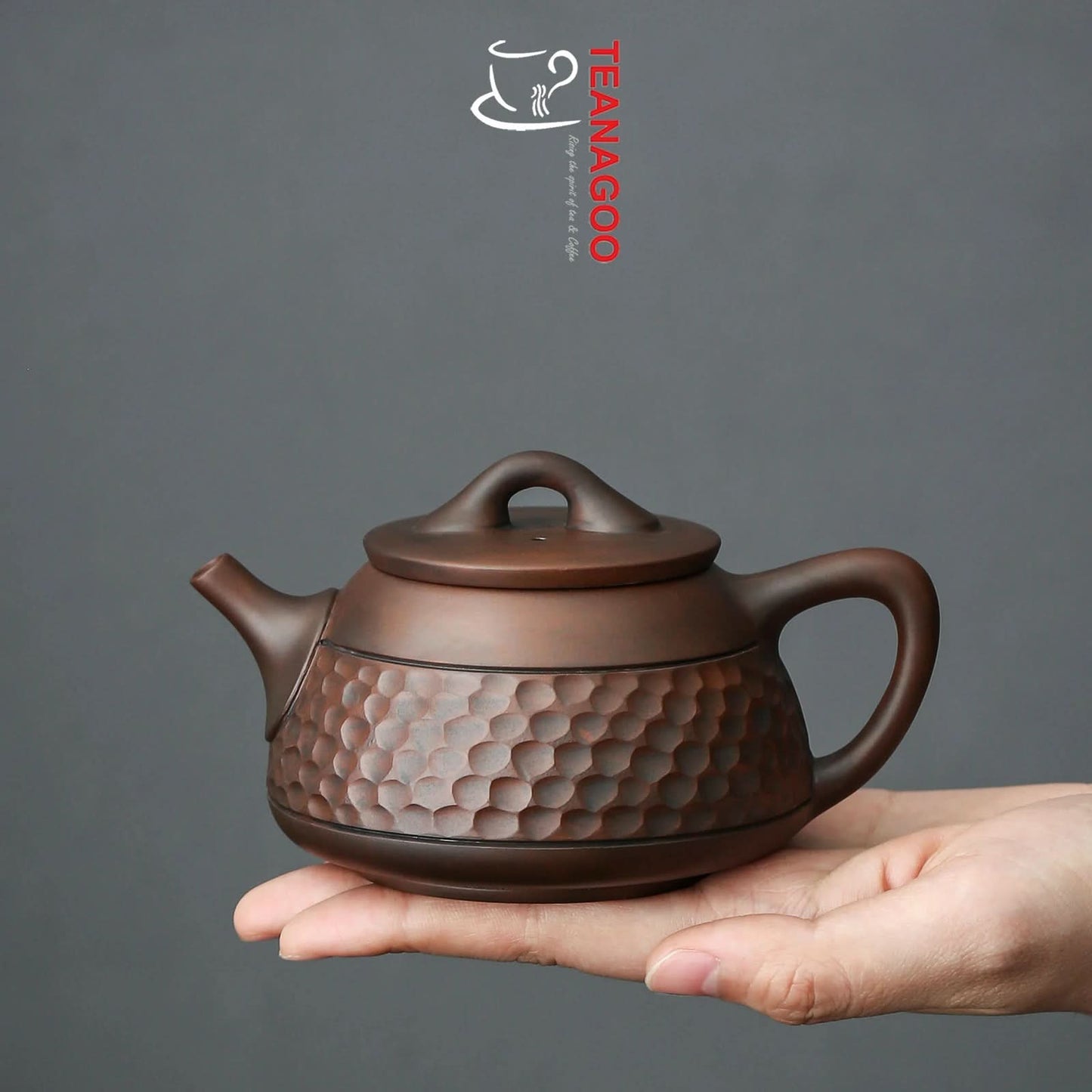 Hand-carved Red Clay Chinese Gongfu Teapot Ceramic Tea Ware