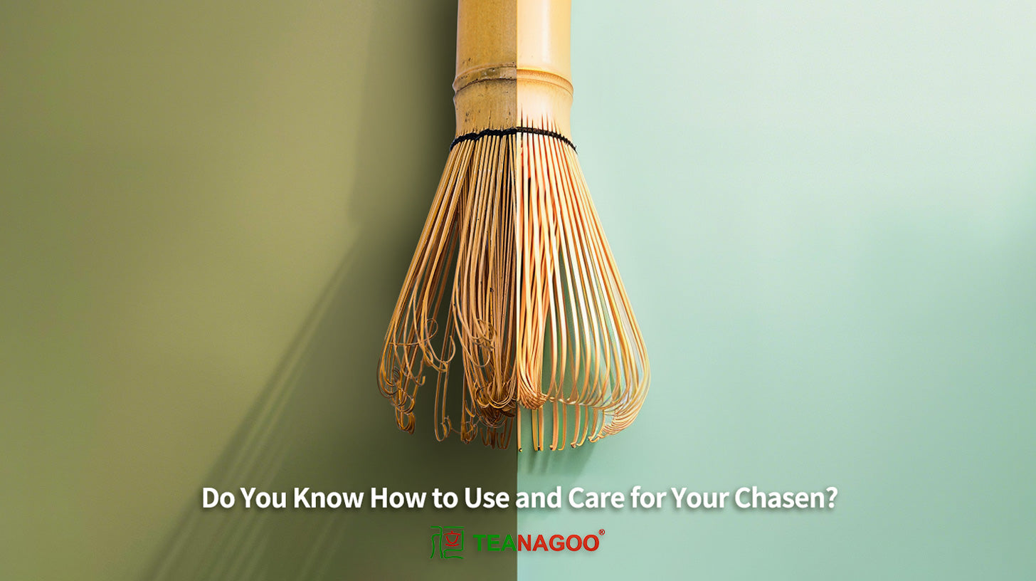 Is Your Chasen Thriving or Dying? The Ultimate Guide to Use & Care ...