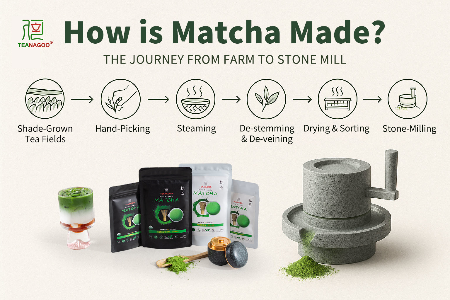 Matcha Powder Making Process How is Matcha Made? The Journey from Farm to Stone Mill - TEANAGOO