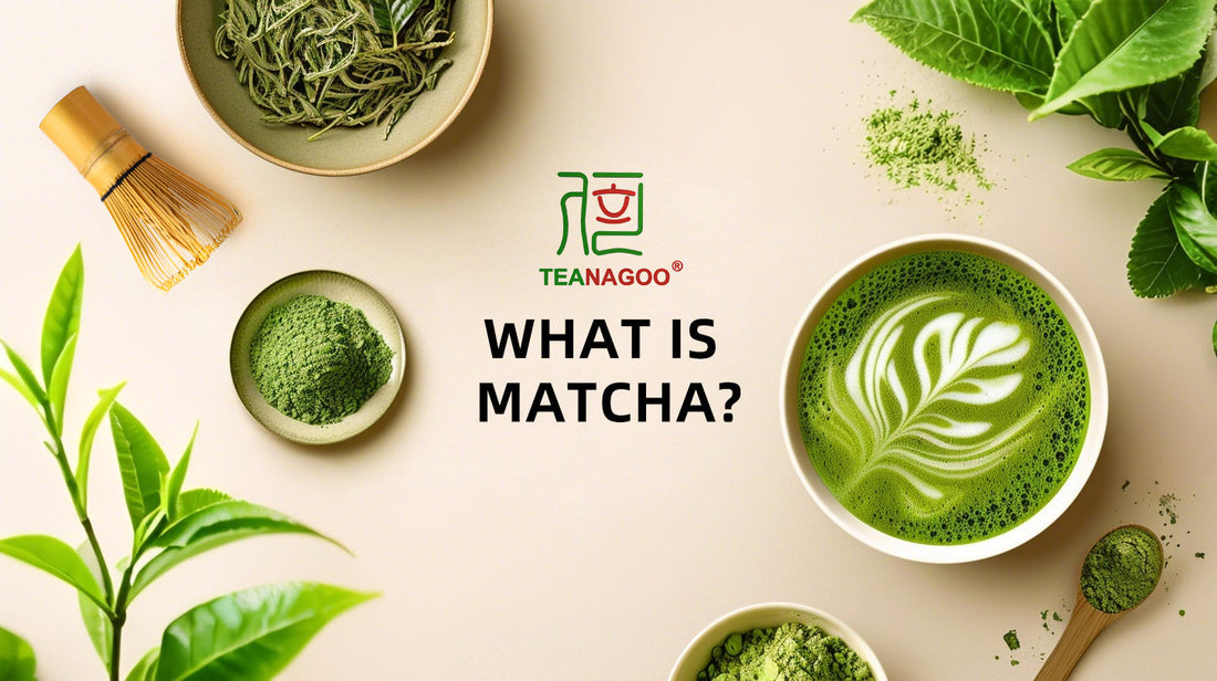 What is Matcha? The Ultimate Beginner's Guide