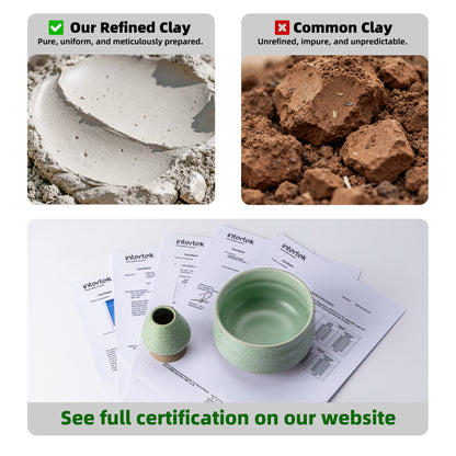 Set de Matcha - Set para principiantes Green Web 